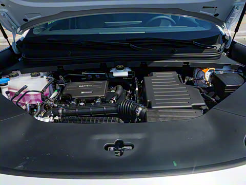 2025�� DM-i 170�캽Pro��