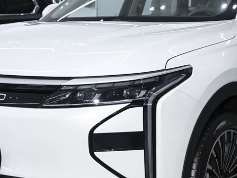 2025�� 210��������Pro����