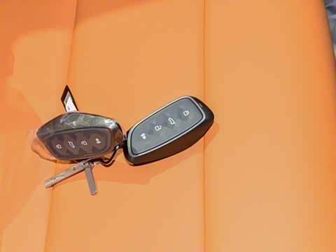 2025�� 2.0T 4WD Pro