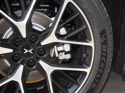 2025�� �������� Max �콢��