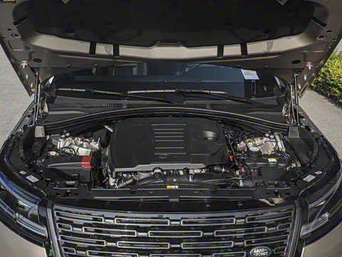 2026�� 250PS Dynamic SE