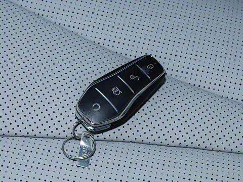 2025�� DM-i 170�캽Pro��