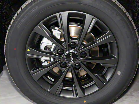 2025�� 520�ǻݰ�