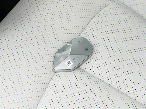 2025�� 501KM ����Max��