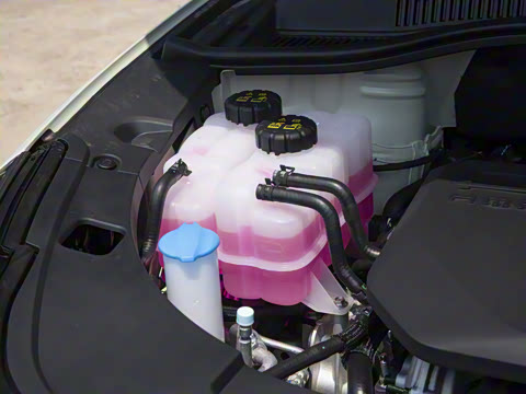 2025�� 150km ��ѡ��