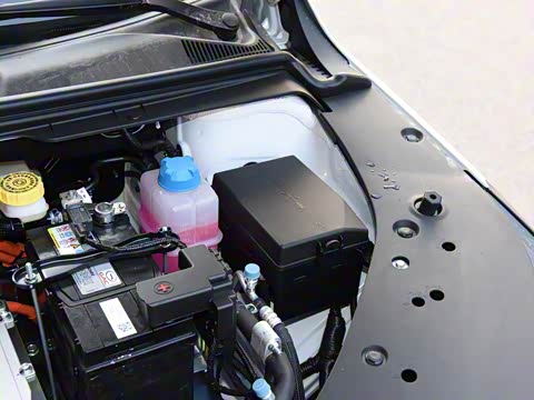 2019�� �� 530