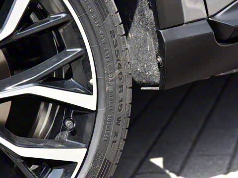 2019�� ������