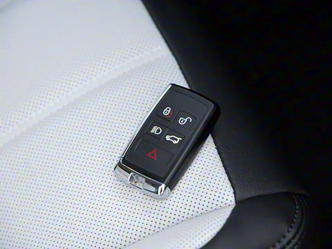 2021�� ����L P300e ������