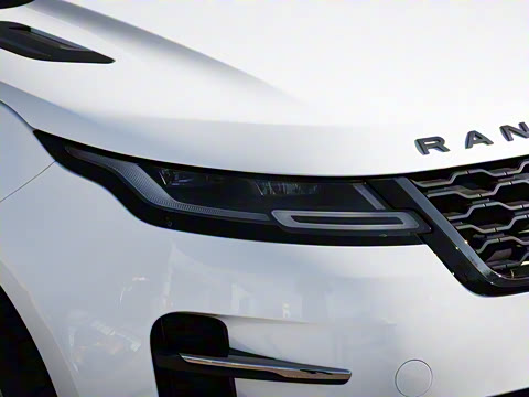 2021�� ����L P300e ������