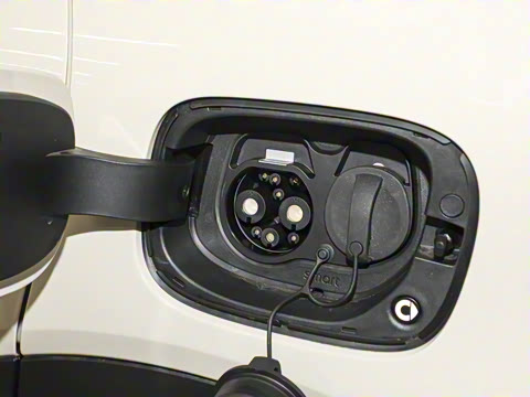 2026�� �鶯������