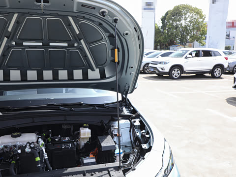 2025�� 450km ������