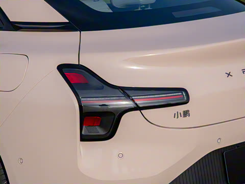 2025�� 600 �������� Max