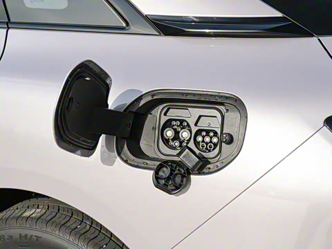 2025�� 600 �������� Max