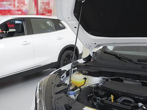 2025�� DH-i 1.5T ������