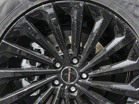 2023�� 300T ������ҫ��