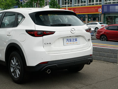 2025�� 2.0L �Զ���������Pro