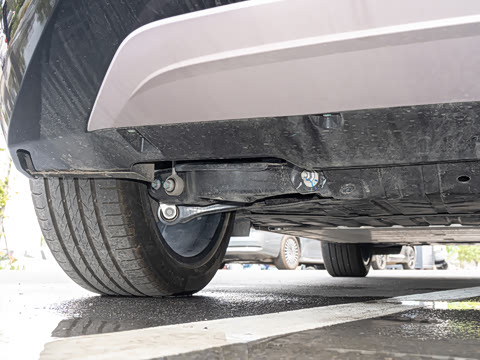 2025�� ��������ħ����