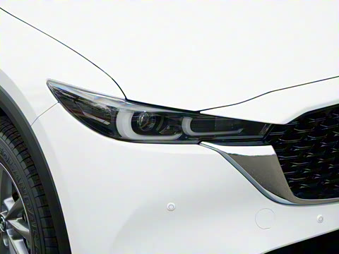 2025�� 2.0L �Զ���������Pro