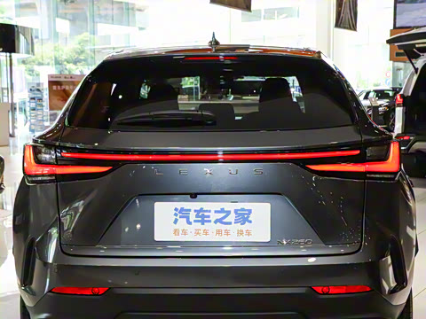 2025�� 260 ǰ�� �ر��