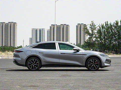 2025�� DM-i 200KM�����״�������