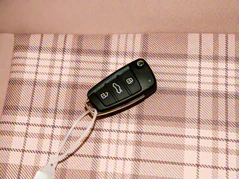 2025�� 205km ʥ����