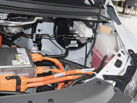 2025�� 420km���� ���˰�5��