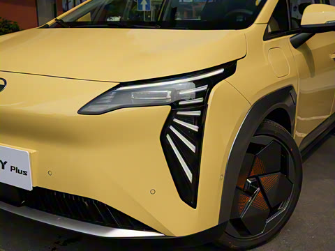 2022�� Plus 80 �Ǽݰ�