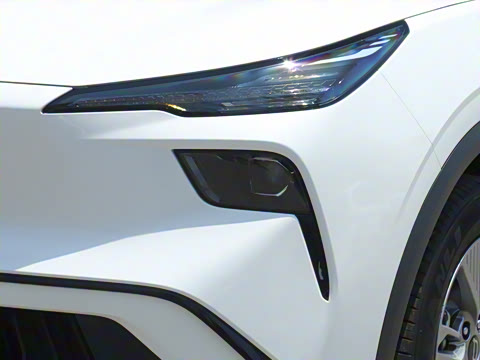 2025�� 445km ��ѡ��