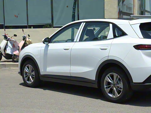 2025�� 445km ��ѡ��