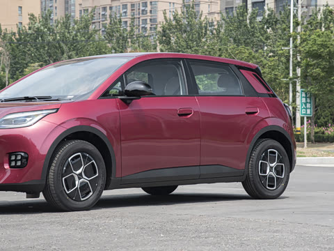 2025�� 330�ǻ԰�