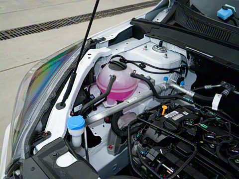 2025�� 1.5L �ֶ�׿Խ��