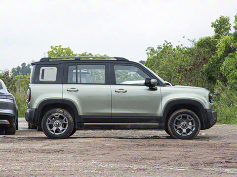 2026�� 501km�����