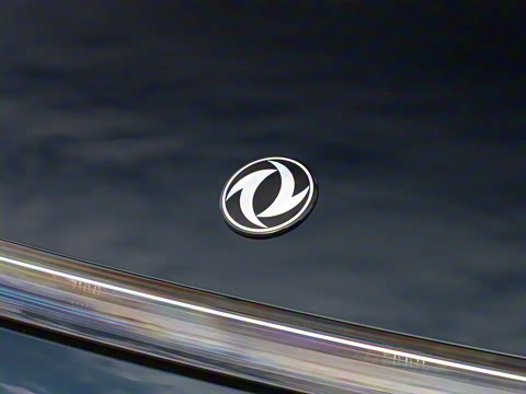 2025�� 205��������������