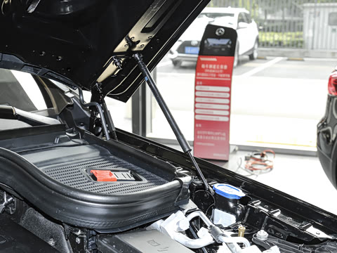 2025�� GLS 450 4MATIC ������