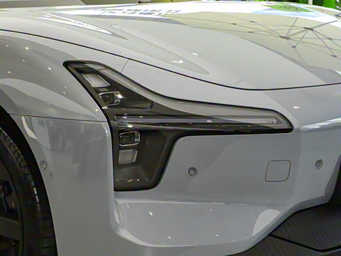 2025�� 502 ������ Max