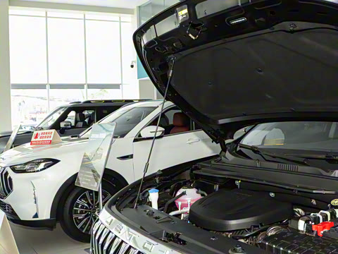 2025�� ��Խ�� 1.6TD �ֶ���PRO 7��