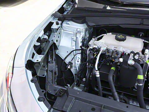 2025�� 450km ������