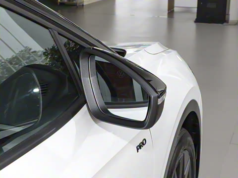 2025�� ������������ʿPRO��