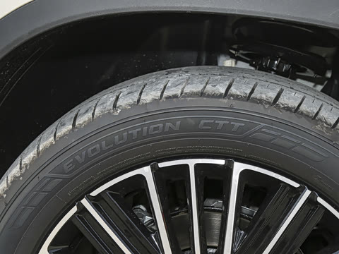 2025�� 300T ������ҹ��