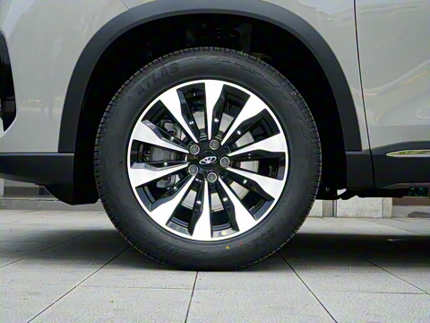 2025�� 290TGDI DCT�˷�� 7��