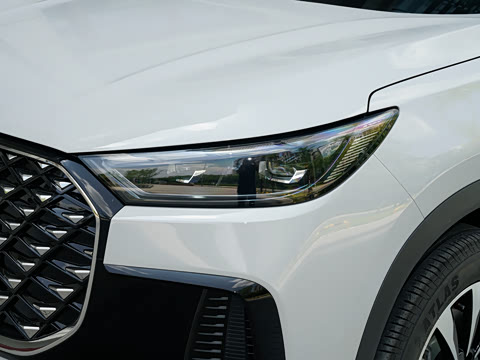 2025�� 290TGDI DCT�˷�� 7��