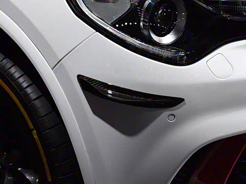 2019�� 2.9T 510HP F1������