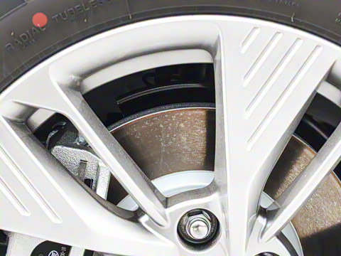 2025�� 565km ������