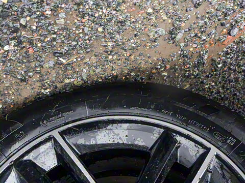 2025�� 650 ������