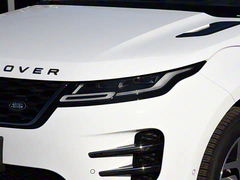 2021�� ����L P300e ������