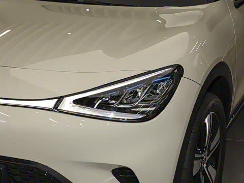 2026�� �鶯������