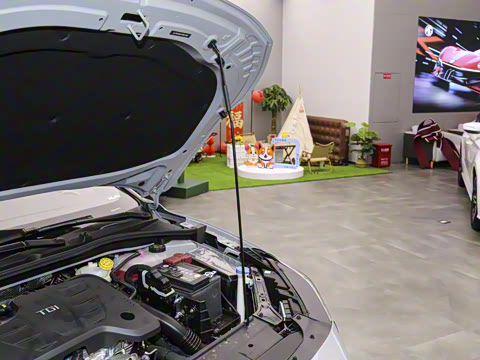 2025�� 1.5T XLINE �����