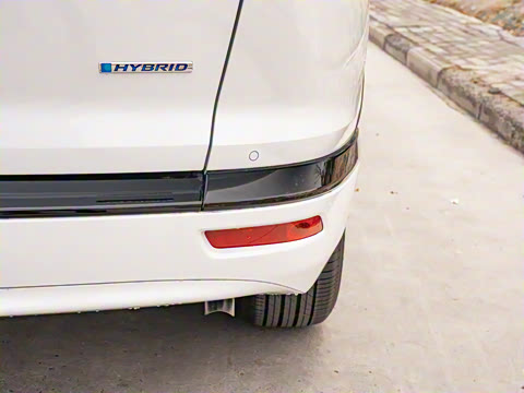 2021�� �񡤻춯 2.0L ����������