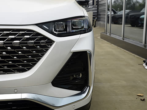 2022�� 1.5T DHT����