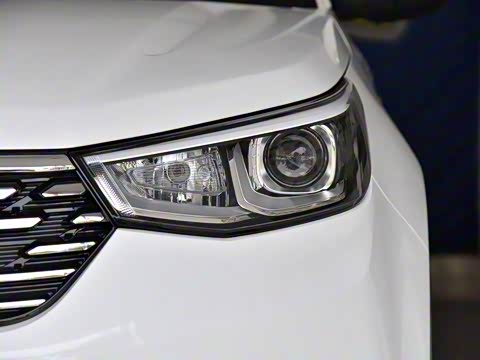 2019�� 1.5T �Զ���ɫ�� ��VI